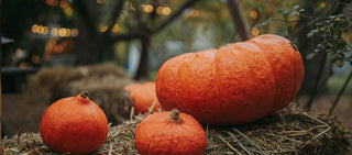 Pompoenen