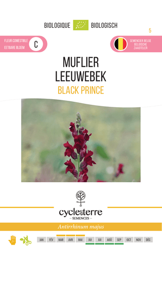 Løvemund 'Black Prince'