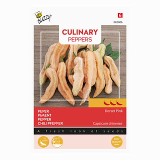 Chili  'Dorset Pink'