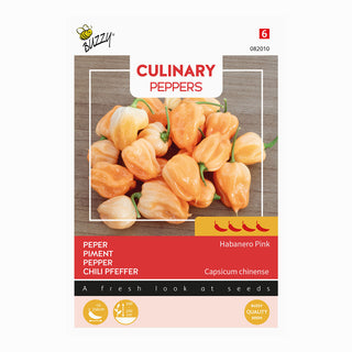 Chili  'Habanero Pink'