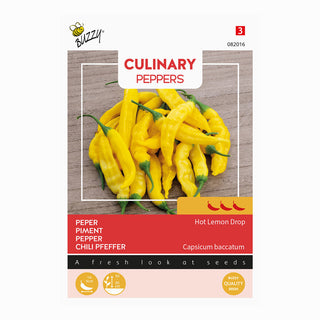 Chili  'Hot Lemon Drop'