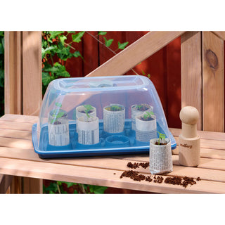 Starters Kweekset Romberg