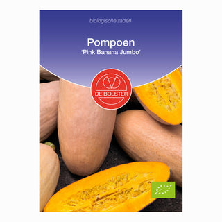 Pompoen 'Pink Banana Jumbo'