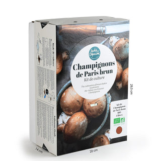 Brune champignoner ØKO