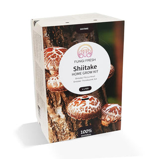 Shiitake ØKO