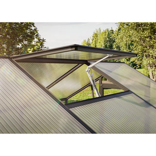 KGT Aptasia Greenhouse Kas Serre