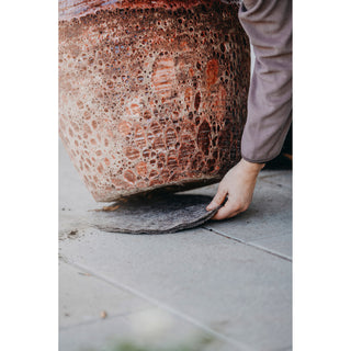 Wol Mulchschijf (2) Nelson Garden