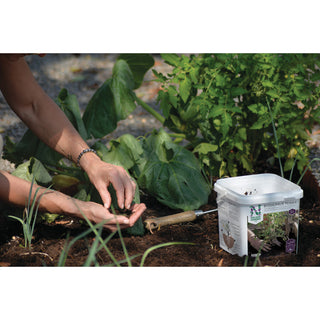 Biohumus Terra 5L Nelson Garden