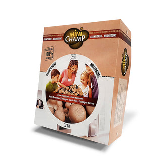 Kastanjechampignoner ØKO