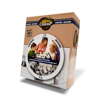 Hvide champignoner ØKO