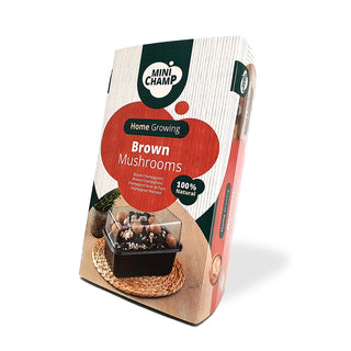 Kastanjechampignoner ØKO