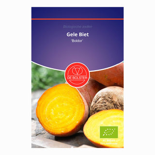 Gul rødbede 'Boldor'