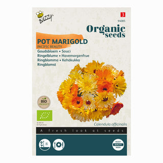 Morgenfrue Pacific Beauty (Mixed)