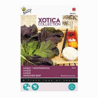 Xotica Amsoi rød