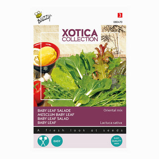 Xotica Salatmix 'Oriental Mix'