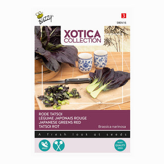 Xotica Tatsoi rød