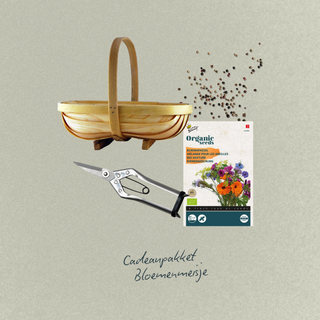Blomsterpigen - En lille blomst