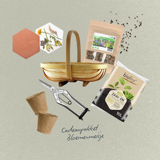 Blomsterpigen - Blomster i overflod