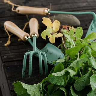 Håndredskabssæt 'Mint Edition'