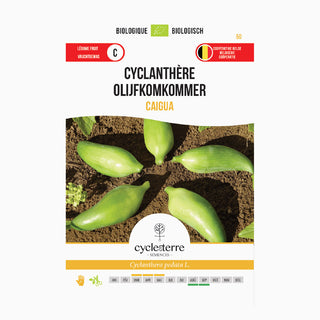 Olivenagurk 'Cyclanthera Caigua'