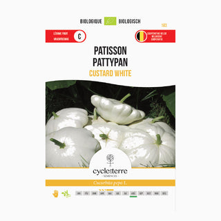 Pompoen 'Witte Patisson'