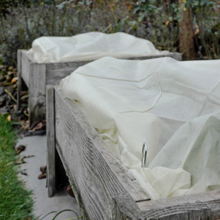 Jordspyd 14,5cm (12)