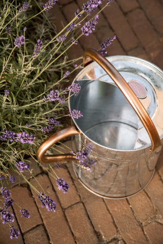 Vandkande Metal 9L Zink