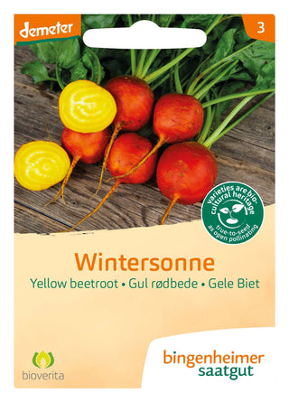 Gul rødbede 'Wintersonne'