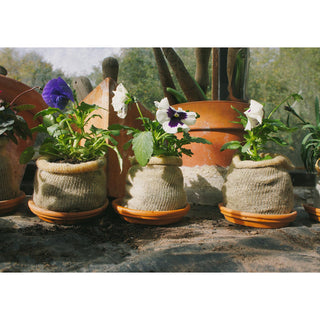 Dyrkningspotte i Uld BIO (10)