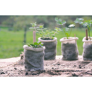 Dyrkningspotte i Uld BIO (10)