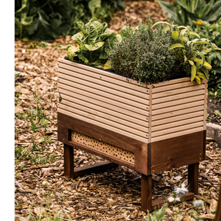 Dyrkningsbord + Insekthotel M