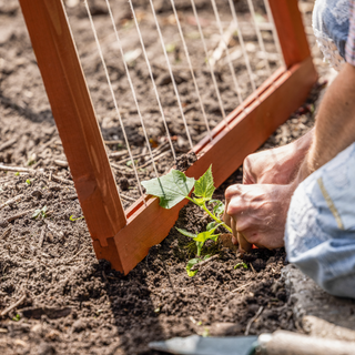 Opklappeligt planterankestativ