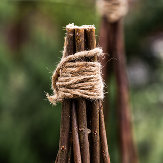 Plantestøtte Pil Bånd (Sæt med 3)