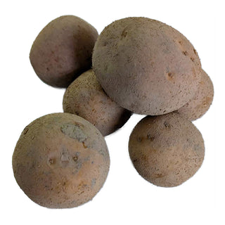 Oscar ØKO læggekartofler 1kg