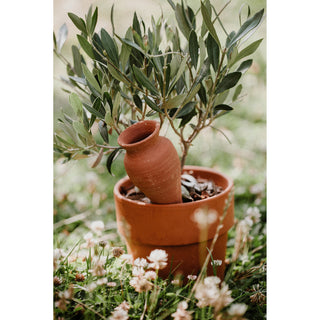 Terracotta-kegle