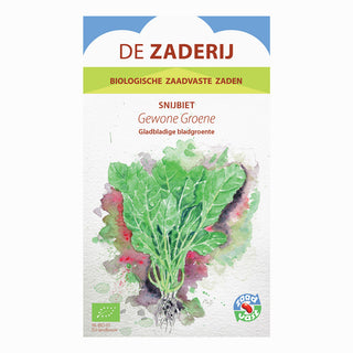 Bladbede 'Gewone groene'