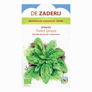 Spinazie 'Tineke'De Zaderij