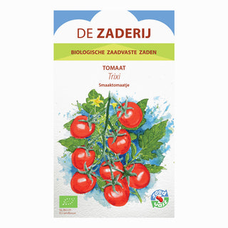 Tomat 'Trixi'