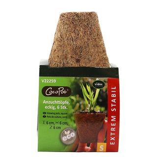 Spirepotter i kokos 6x6cm Firkantede (6)