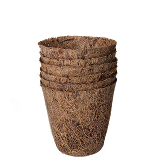 Spirepotter i kokos 6cm Runde (6)