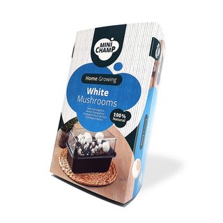 Hvide champignoner ØKO