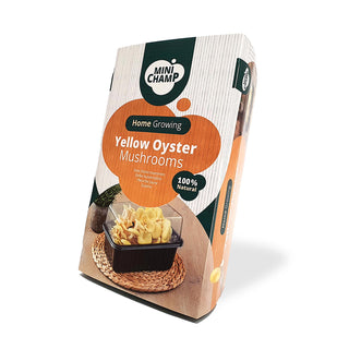 Gule østershatte ØKO