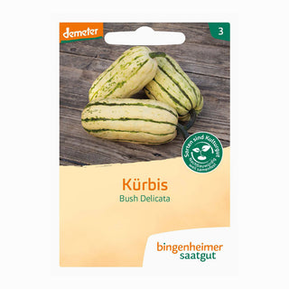 Græskar  'Bush Delicata'