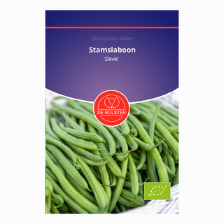 Buskbønne 'Davis'