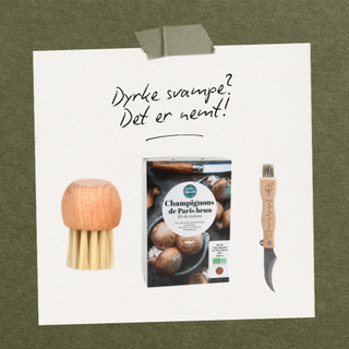 Promo DK 2