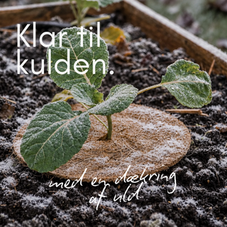 Promo DK 4