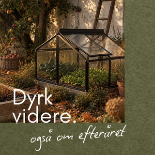 Promo DK 5
