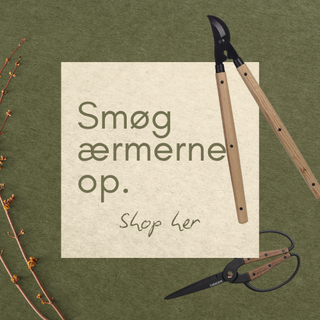 Promo DK 8