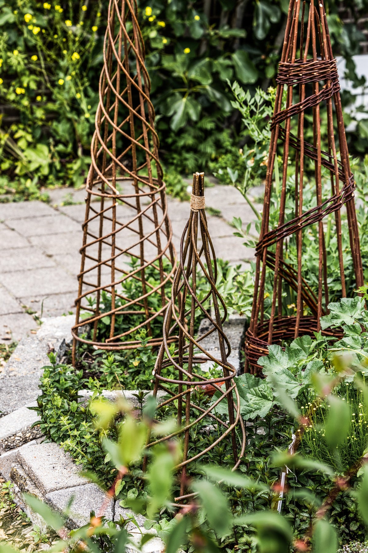 Plantensteunen in de moestuin
