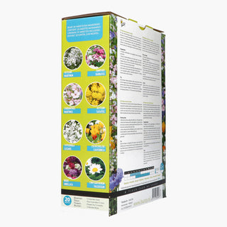 Friendly Flowers XL Bijen Lav 50m²